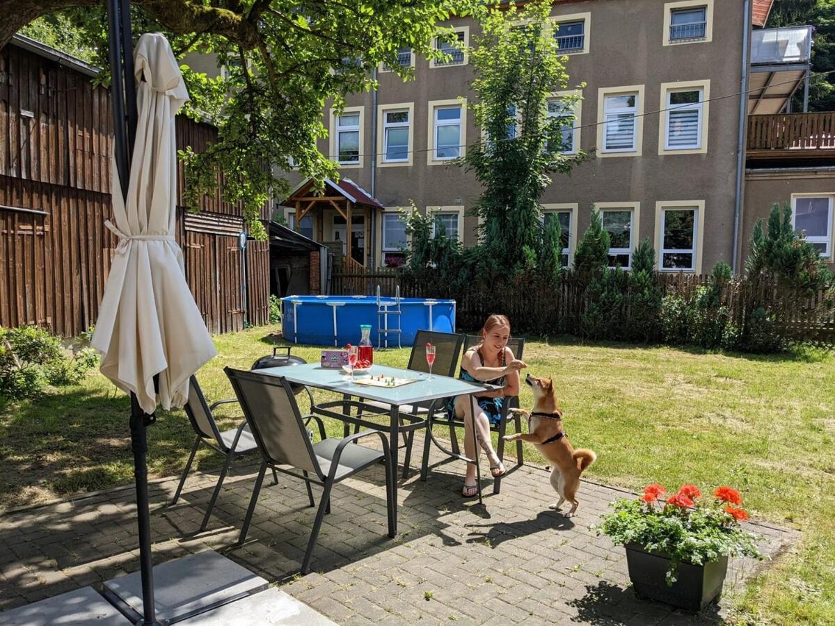 H2 - Urlaubsmagie - Garten, Pool, Terrasse, Grill Sebnitz Eksteriør billede